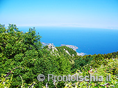 L'isola d'Ischia nella puntata di Linea Verde 5