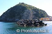 Ischia perché Isola Verde 19