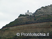 Pescaturismo a Ischia 60