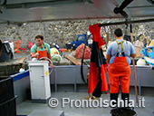 Pescaturismo a Ischia 70