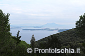 Escursioni a Ischia: dal Bosco della Maddalena a Sant'Angelo 13