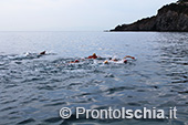 Nuota Forio, mezzo fondo di nuoto dell'Isola d'Ischia 15